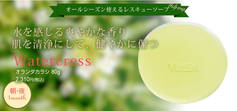 オランダカラシ