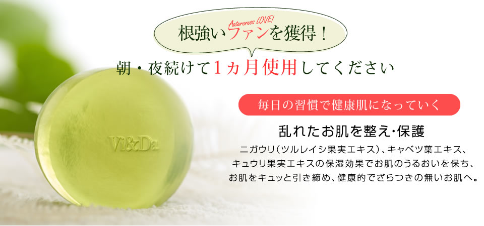 オランダカラシ