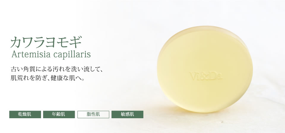 Vida Mio (ヴィダミーオ)カワラヨモギ 80g