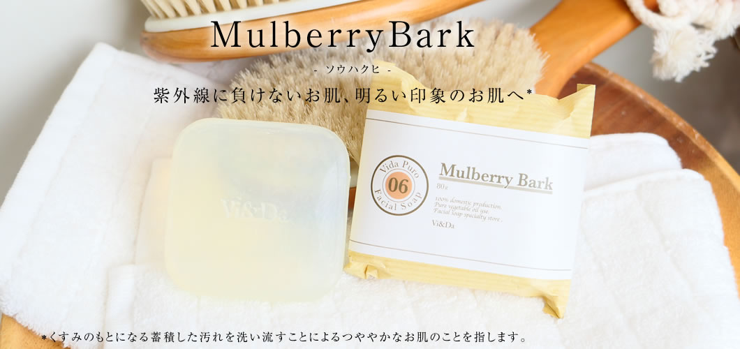 Vida Puro (ヴィダプーロ)MulberryBark (和漢 ソウハクヒ)80g