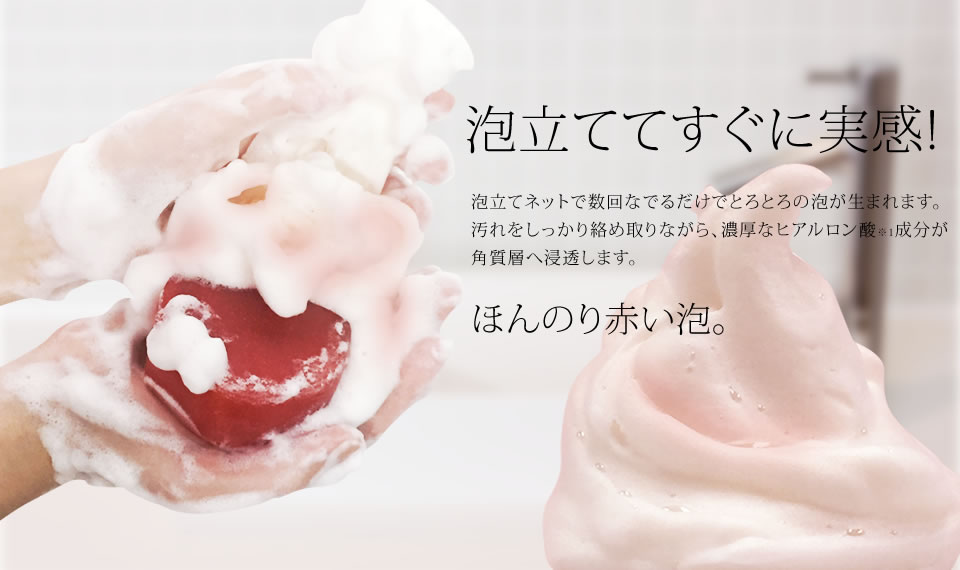 高濃度ヒアルロン酸ソープ 100g