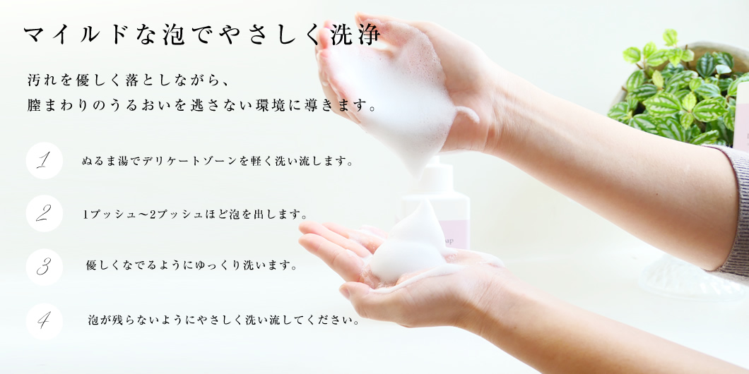 Form Soap for Delicate Zone デリケートゾーン ソープ480ml