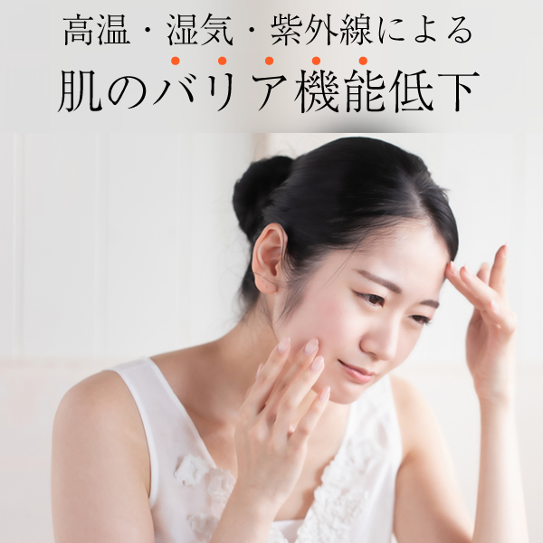 洗顔せっけん専門店Vi&Da