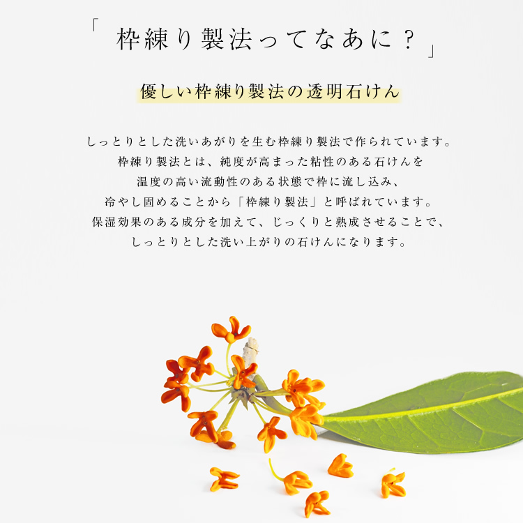 洗顔料 y 洗顔専科 | イオンスタイルオンライン 衣料品・暮らしの品を